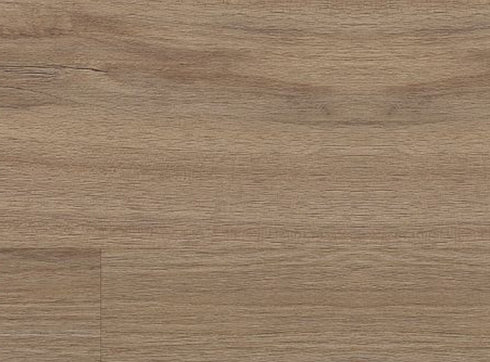 Baywood Oak